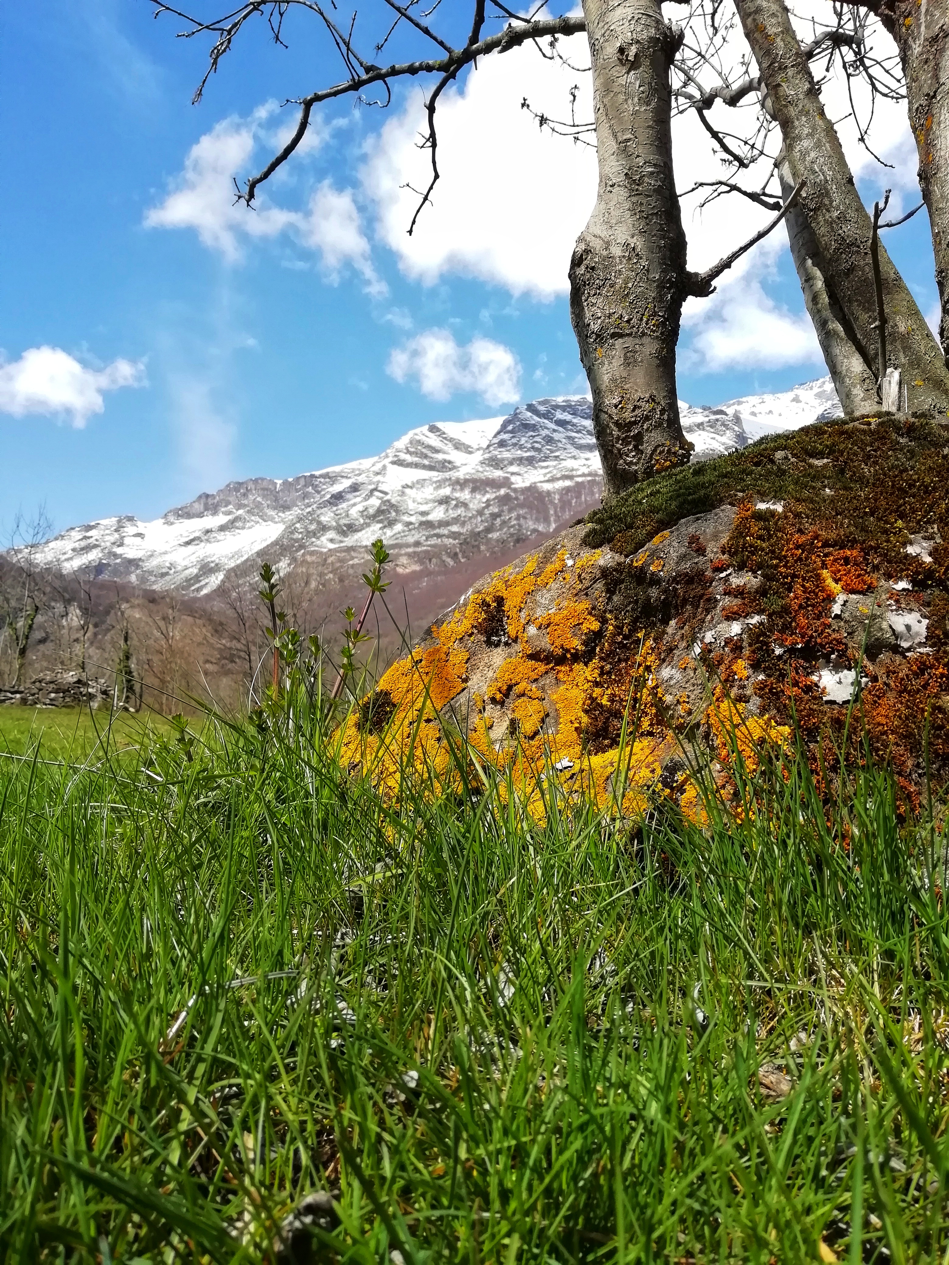 Bed & Breakfast - Nel cuore delle cascate