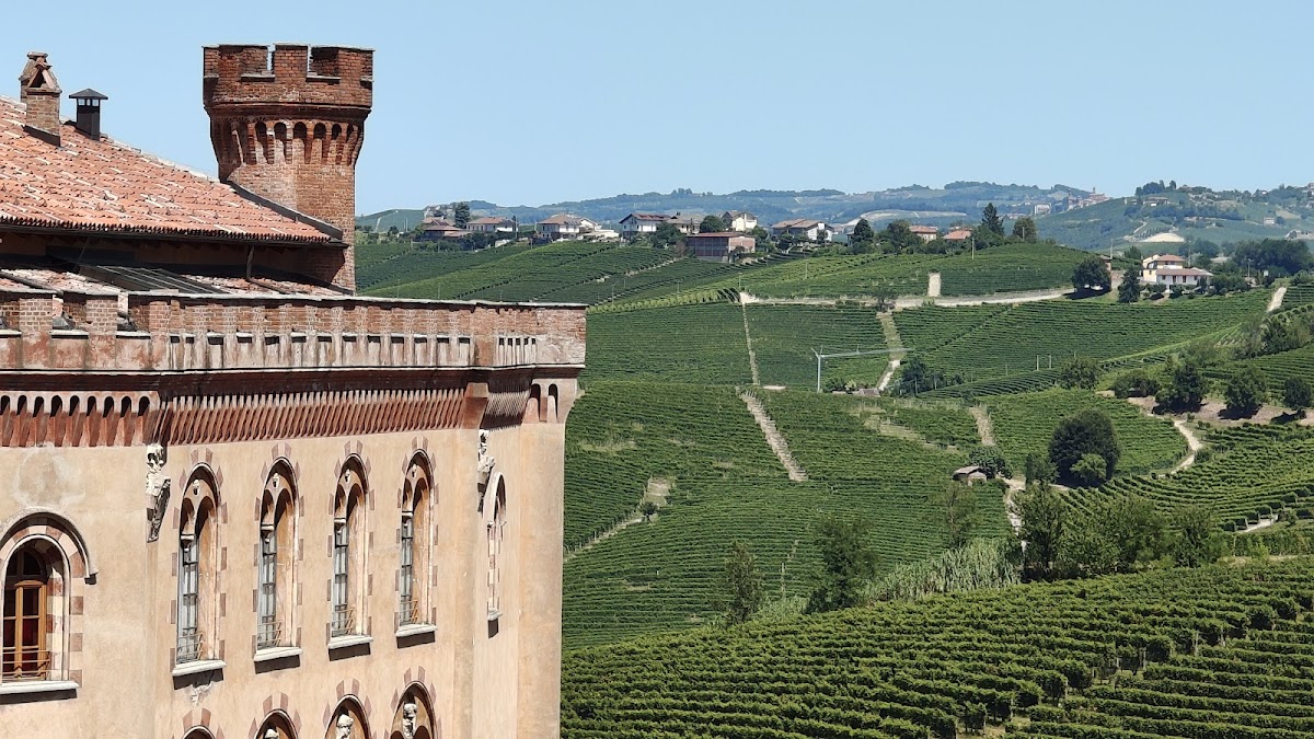 Giacomo Borgogno & Figli — Punto di interesse a Barolo, Cuneo