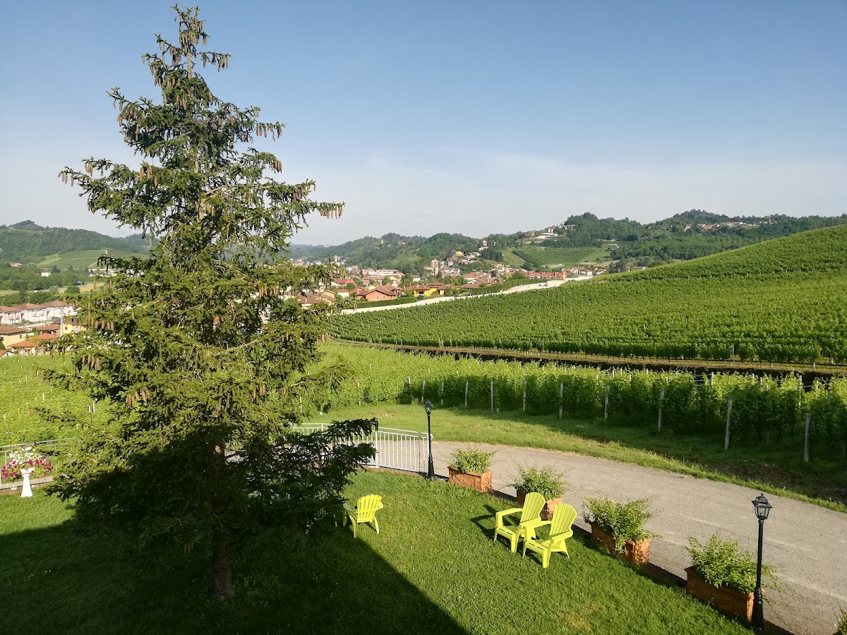 Enoteche, Cantine e Agriturismi nel Roero: Guida Completa