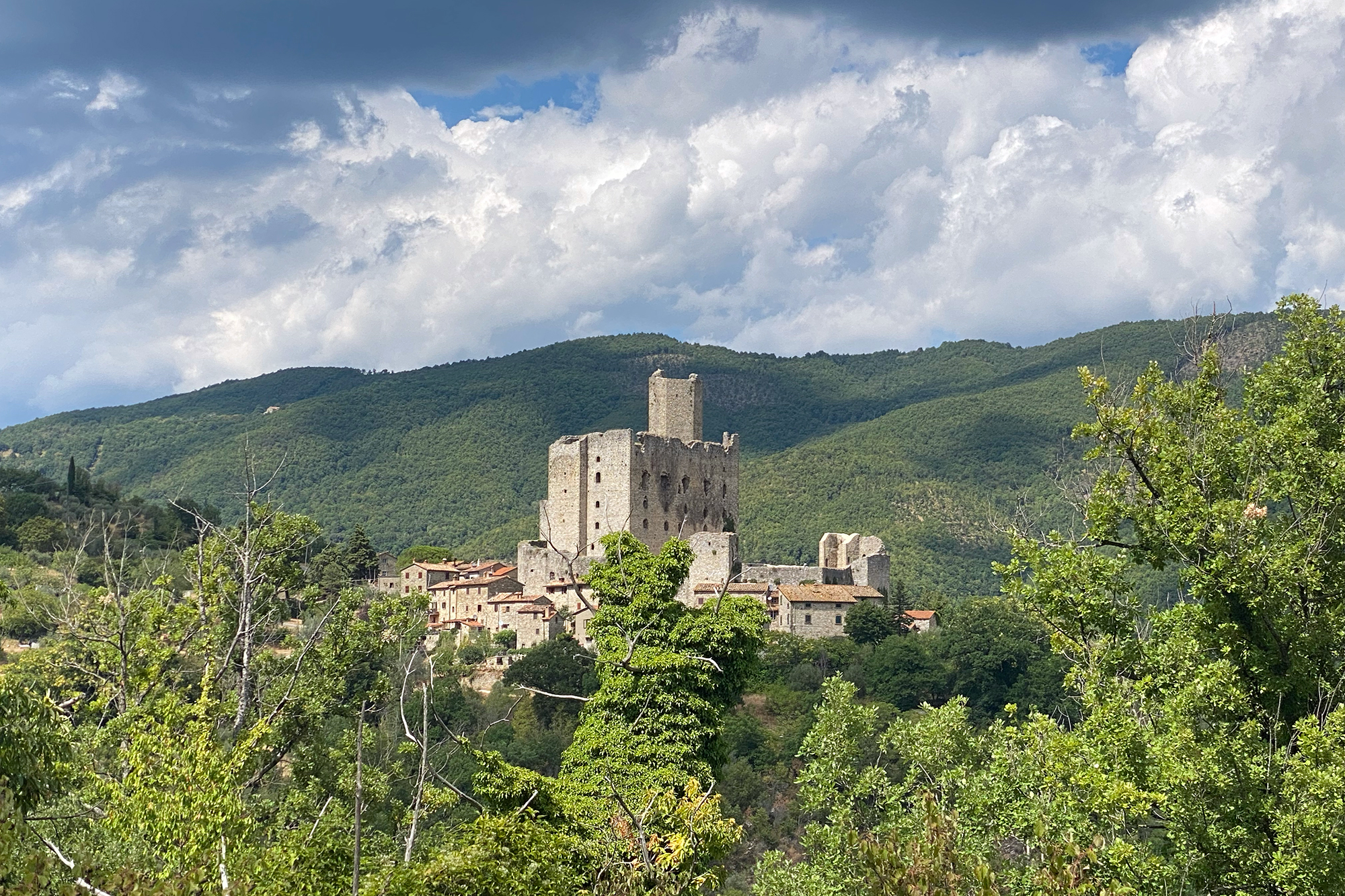 Rocca di Pierle — Punto di interesse , Firenze