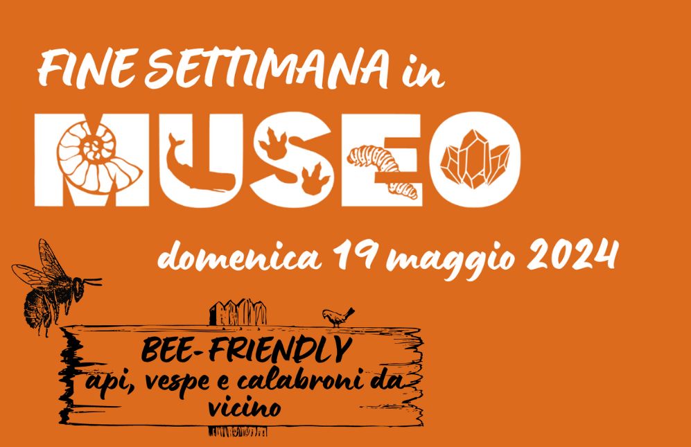 Museo Civico di Scienze Naturali Enrico Caffi di Bergamo