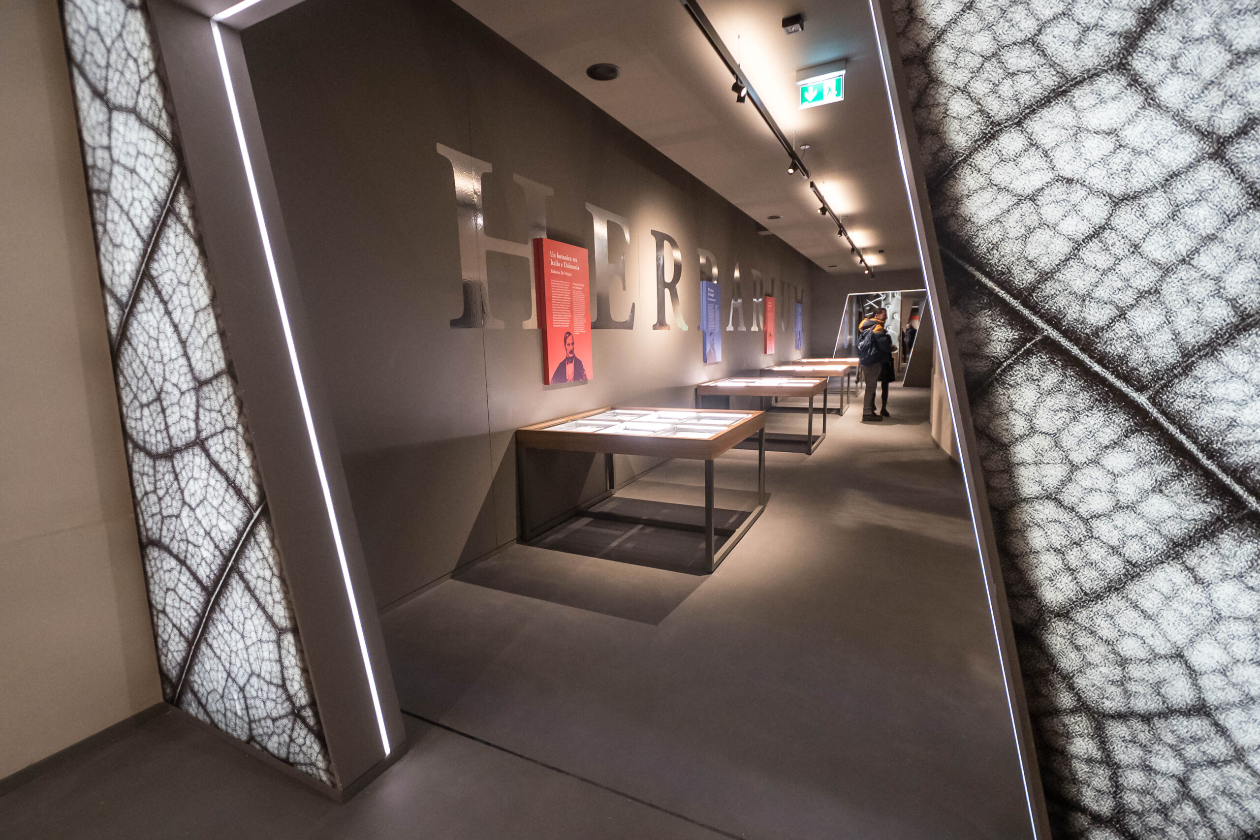 Museo Botanico — Punto di interesse a Padova, Padova