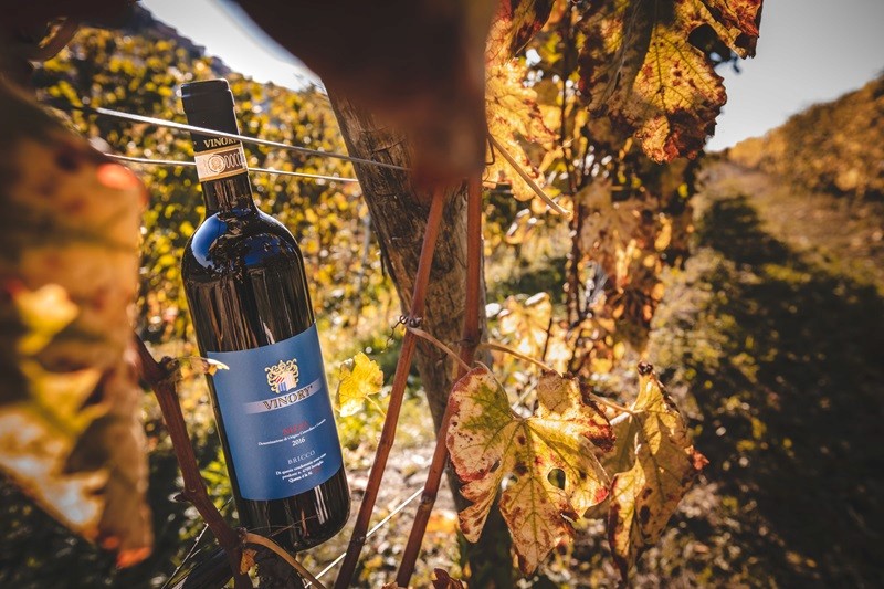 Vinory wines - Azienda Vitivinicola — Ristorante a Nizza Monferrato, Asti