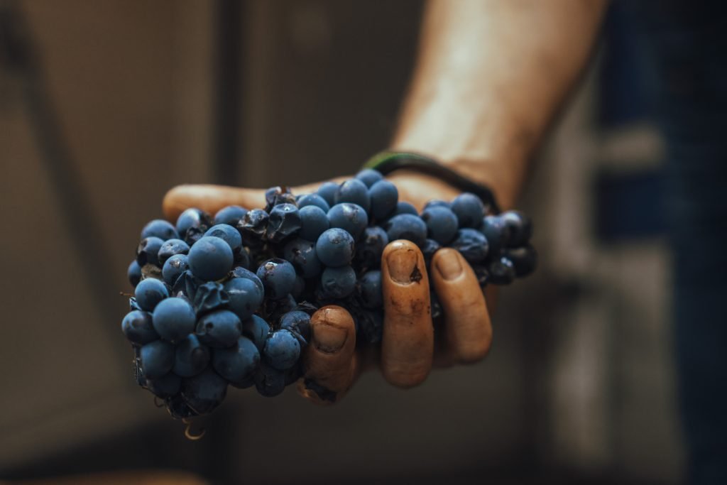 Cantina Urbana — Punto di interesse a Milano, Milano