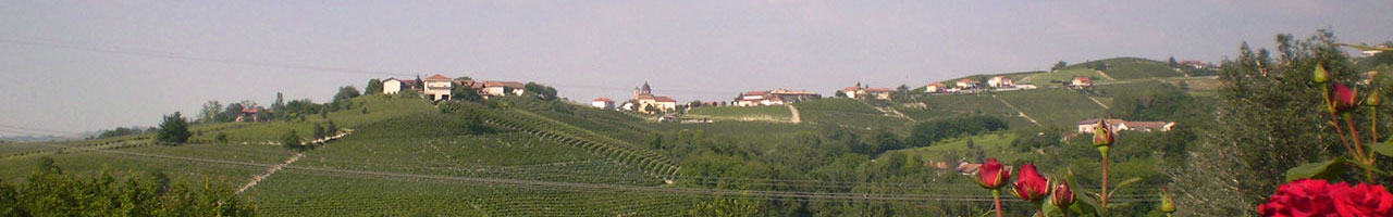 Romana Carlo Azienda Agricola