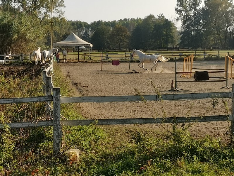 Fiera dei Cavalli di Verua Savoia — Evento a Verua Savoia, Torino