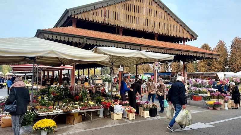 Mercato della Terra di Alba — Evento a Alba, Cuneo