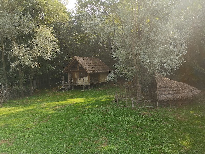 Un Tuffo Nella Preistoria Del Canavese Visite Guidate Al Parco Archeologico Del Lago Pistono — Evento a Torino, Torino