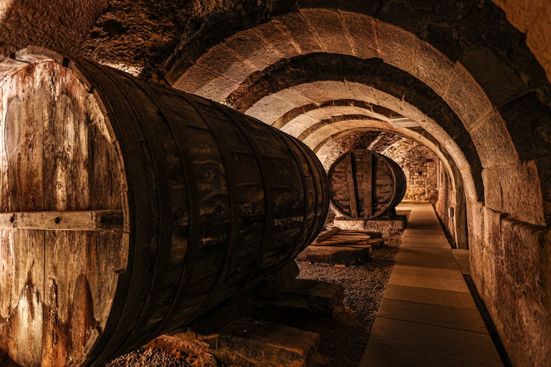 Tour del Barolo da La Morra