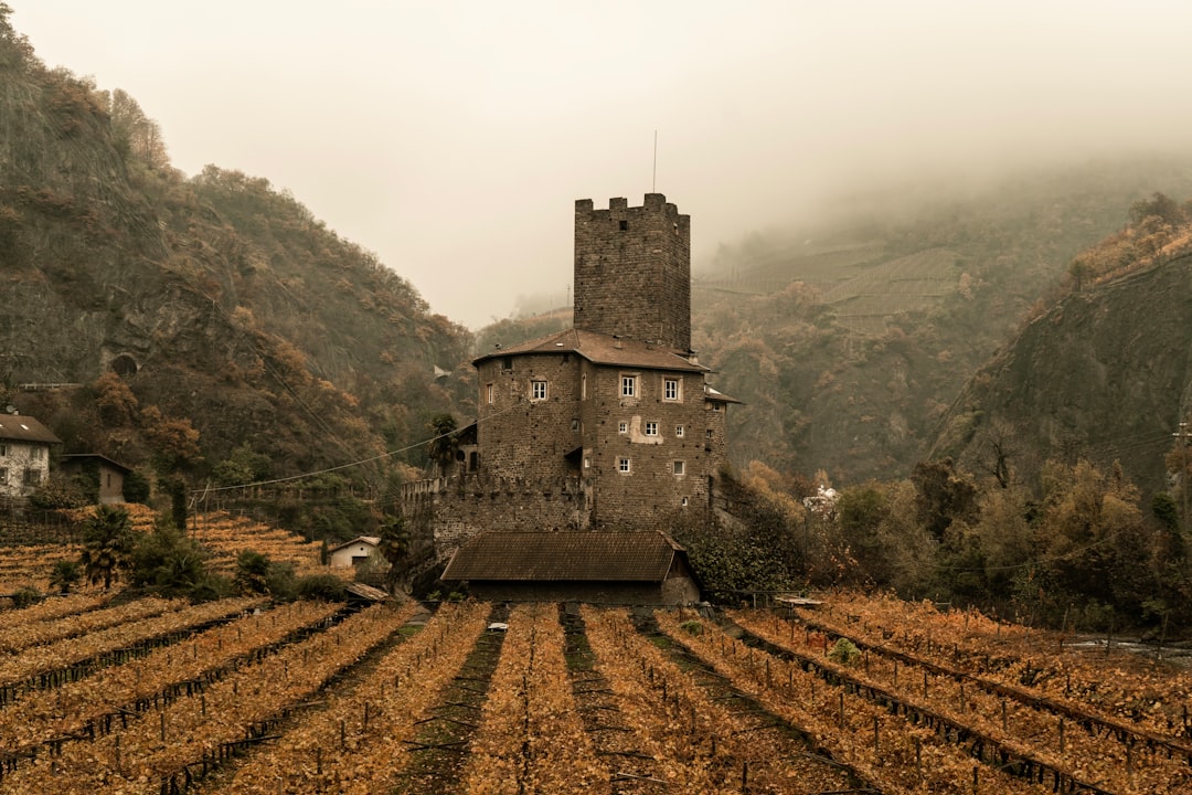 Sentiero del Barbaresco — Sentiero a Barbaresco, Cuneo