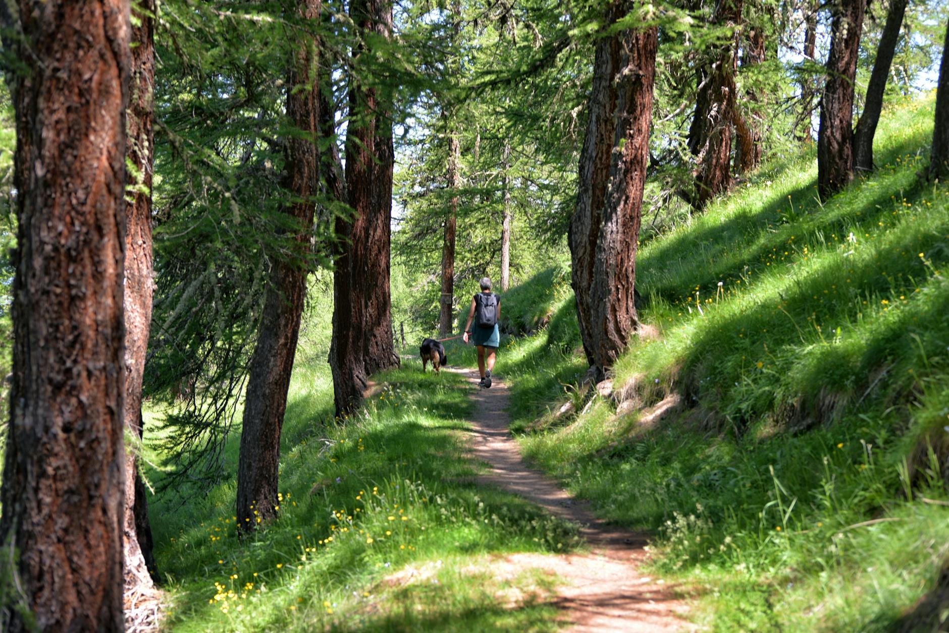 Trekking Tour Piedmont Dolomites: Valle Stretta
