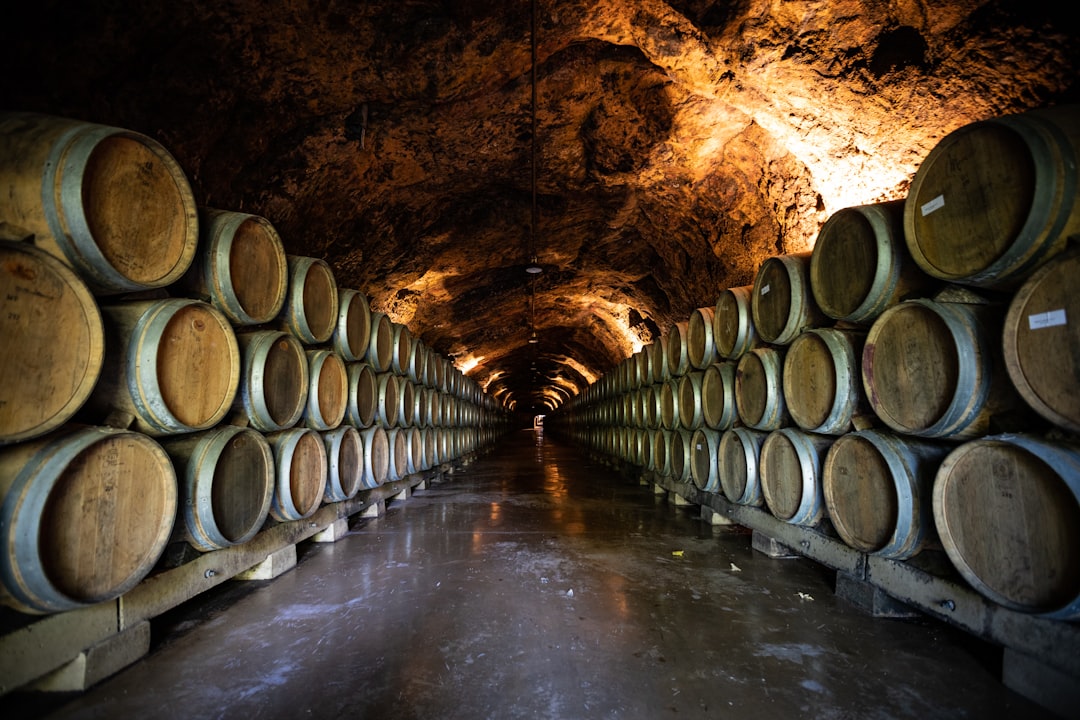 Degustazione e Tour delle Cantine del Barolo — Esperienza , Cuneo