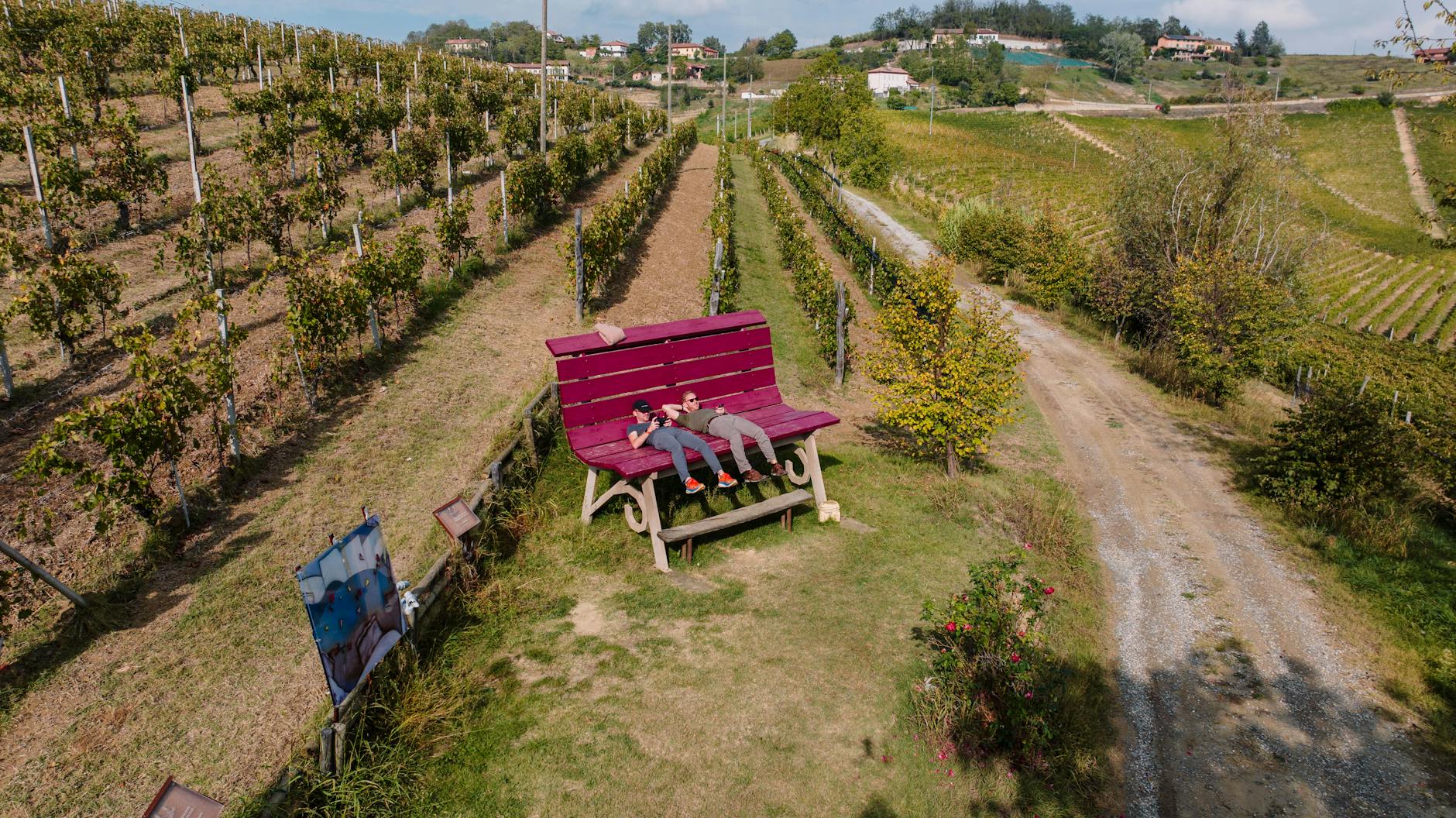 Tour e Degustazione Gavi DOCG — Esperienza , Alessandria