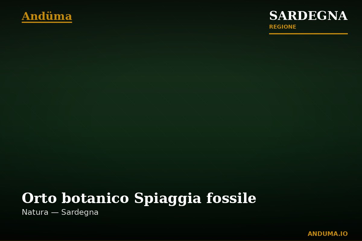 Orto botanico Spiaggia fossile — Punto di interesse a Cagliari, Cagliari