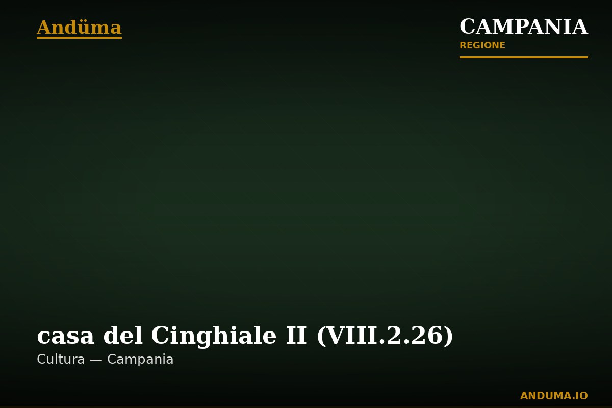 casa del Cinghiale II (VIII.2.26) — Punto di interesse , Napoli