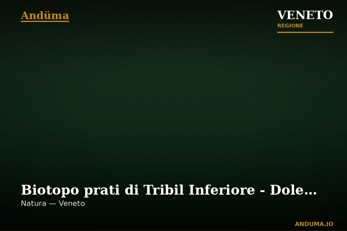 Biotopo prati di Tribil Inferiore - Dolenji Tarbij — Punto di interesse , Venezia