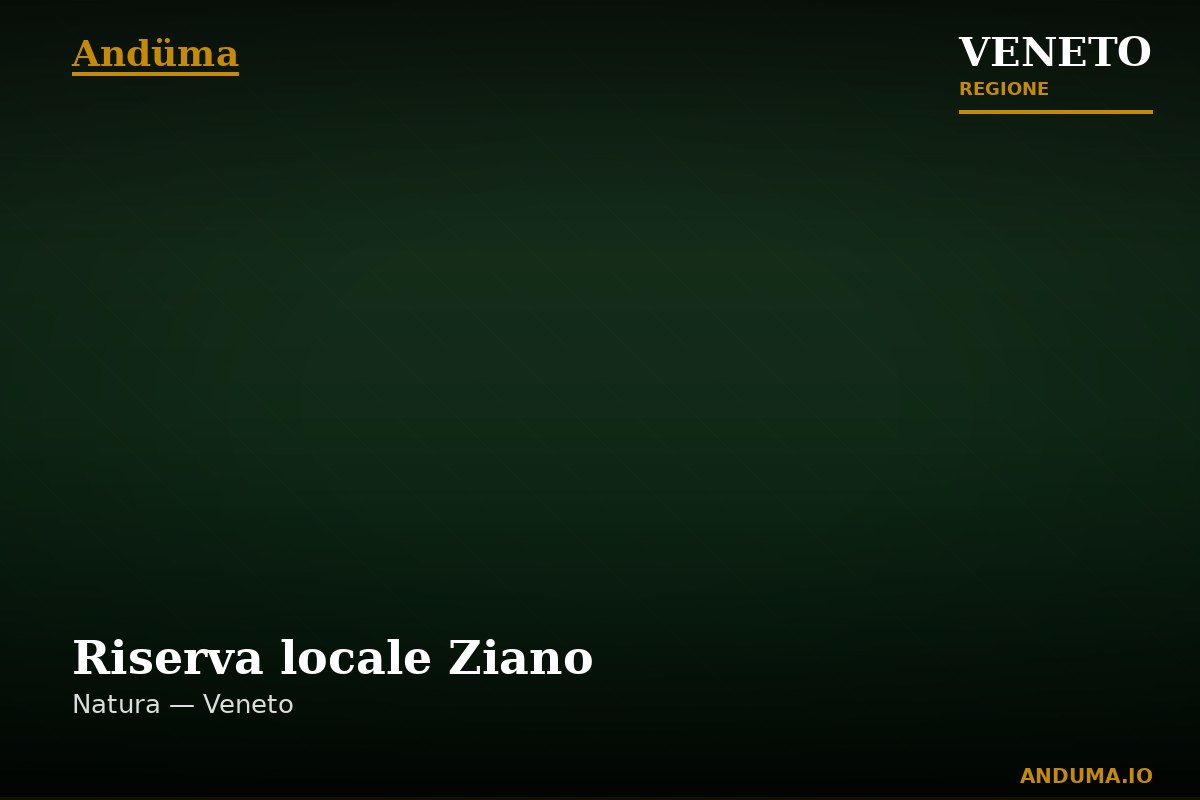Riserva locale Ziano — Punto di interesse , Venezia