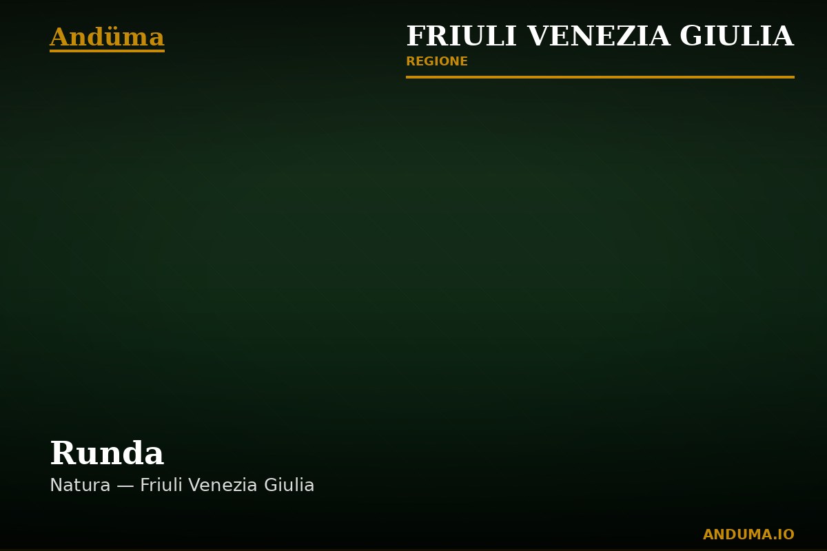 Runda — Punto di interesse a Trieste, Trieste