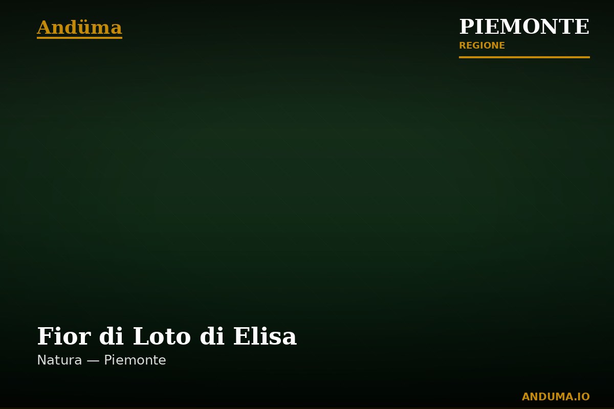 Fior di Loto di Elisa