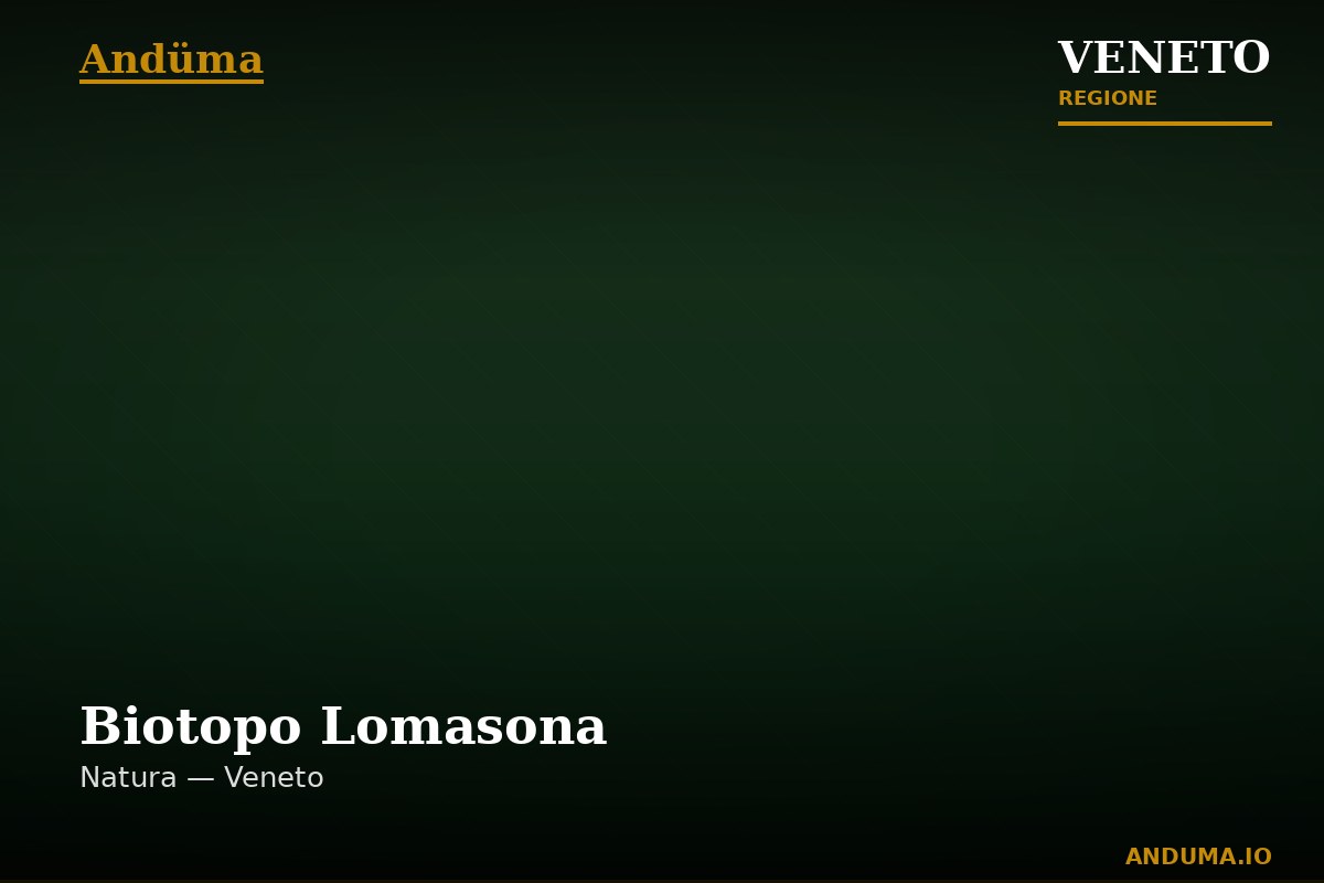 Biotopo Lomasona — Punto di interesse , Venezia