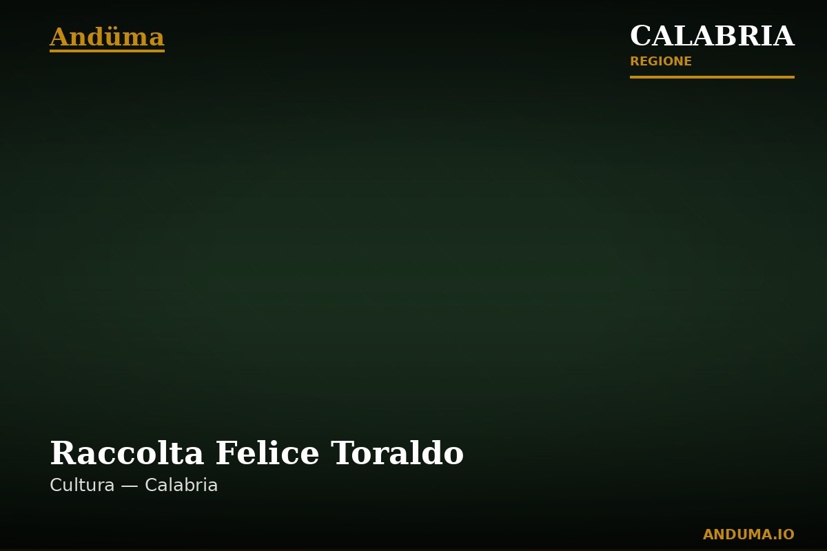 Raccolta Felice Toraldo — Punto di interesse a Tropea, Vibo Valentia