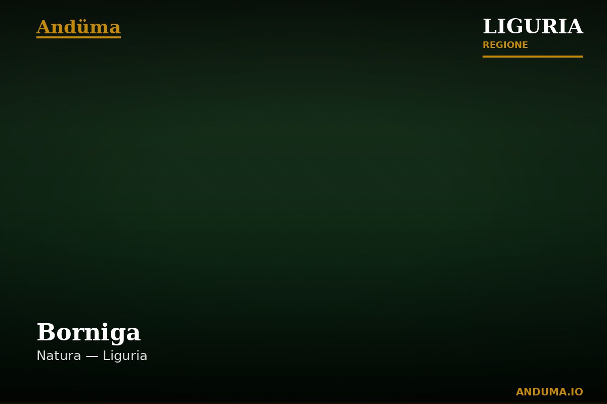 Borniga — Punto di interesse a Triora, Imperia