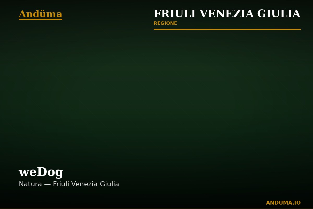 weDog — Punto di interesse a Trieste, Trieste
