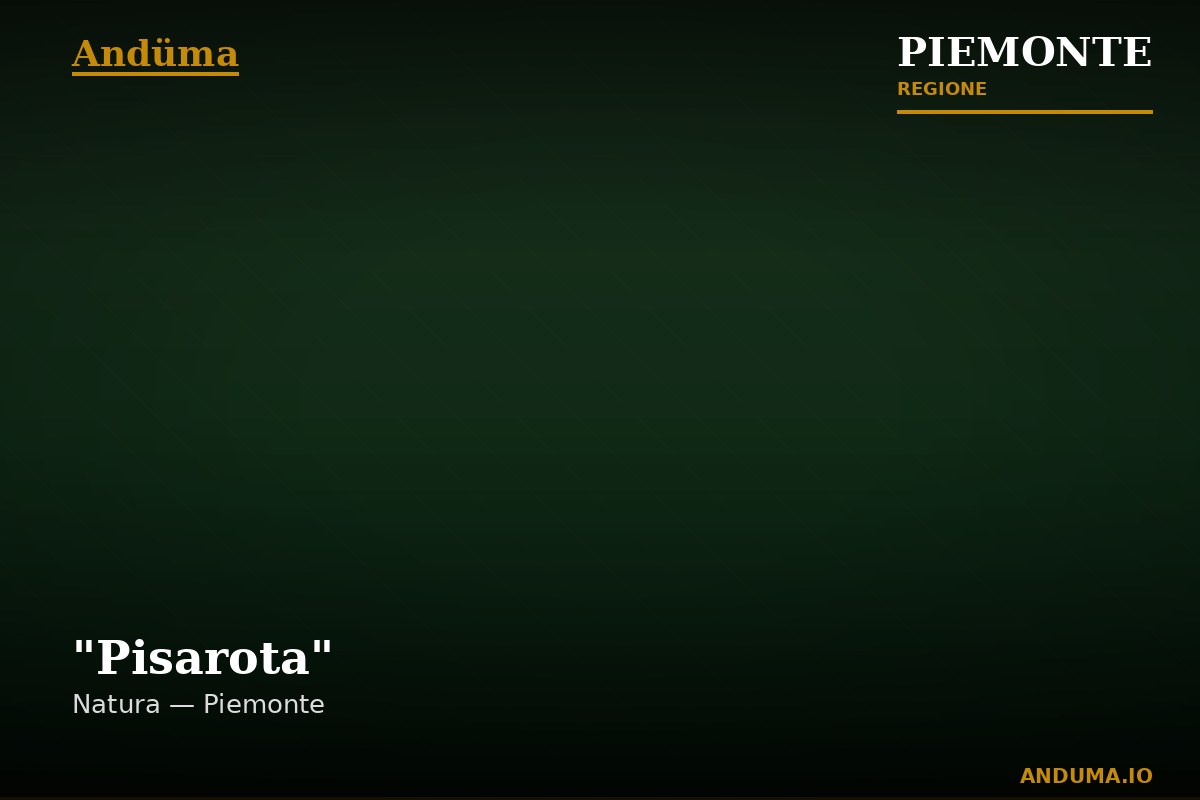 "Pisarota"