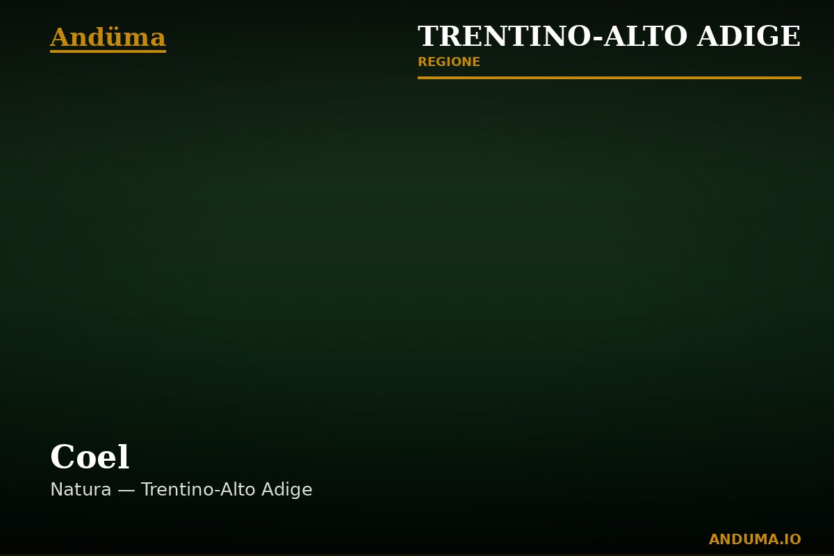 Coel — Punto di interesse a Trento, Trento
