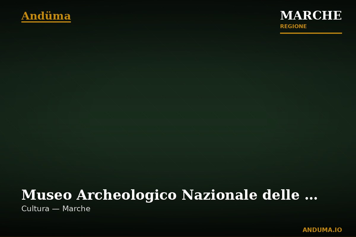 Museo Archeologico Nazionale delle Marche — Punto di interesse a Ancona, Ancona
