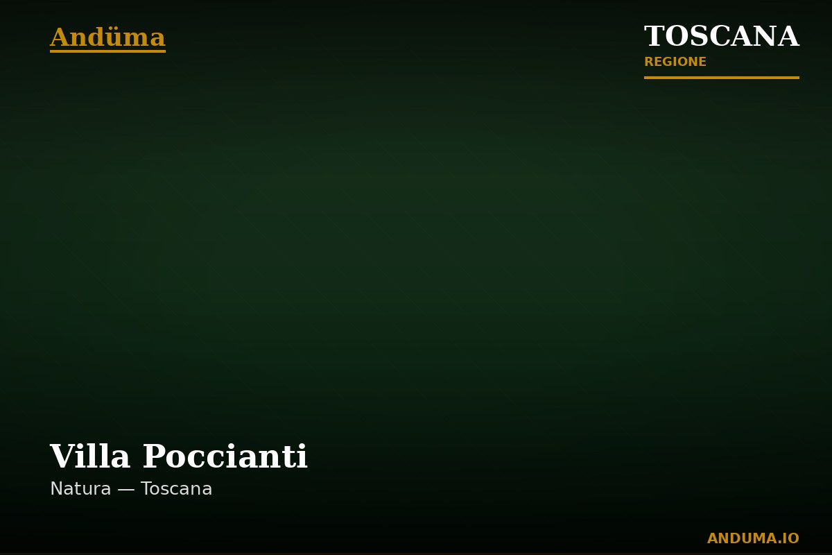 Villa Poccianti — Punto di interesse a Firenze, Firenze