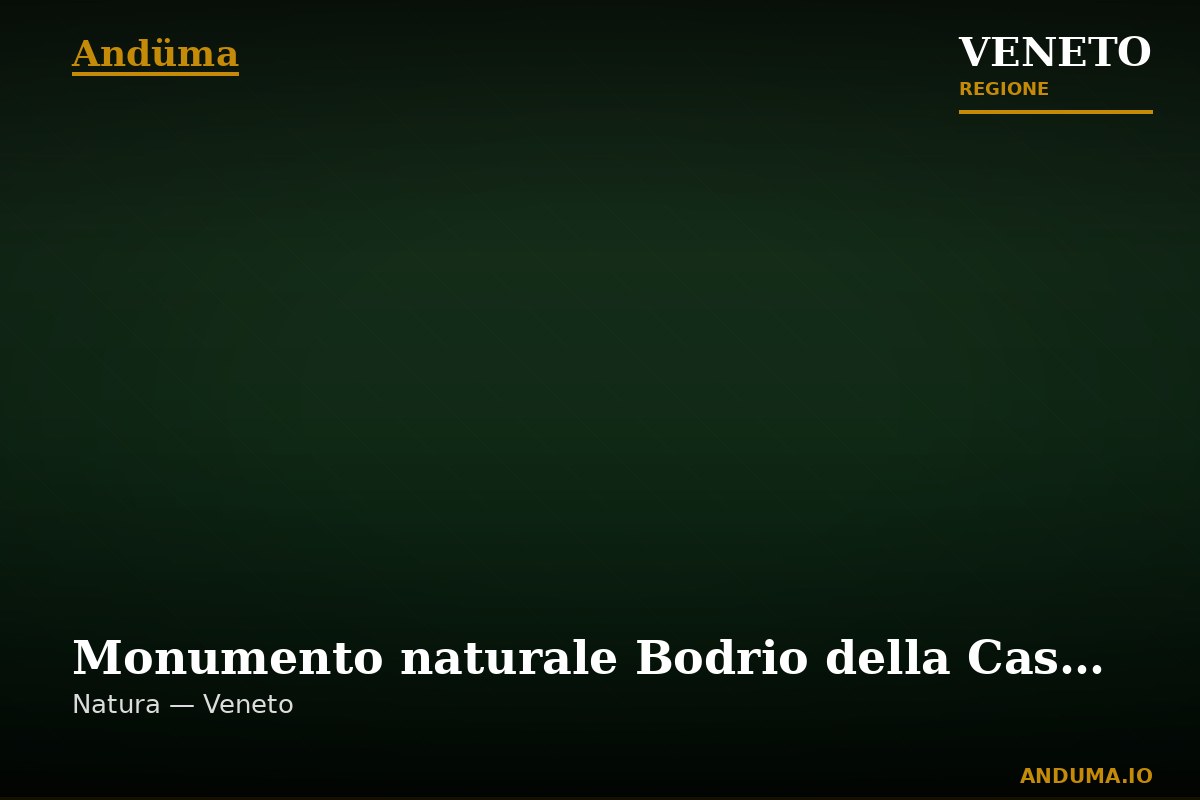 Monumento naturale Bodrio della Cascina Margherita — Punto di interesse , Venezia