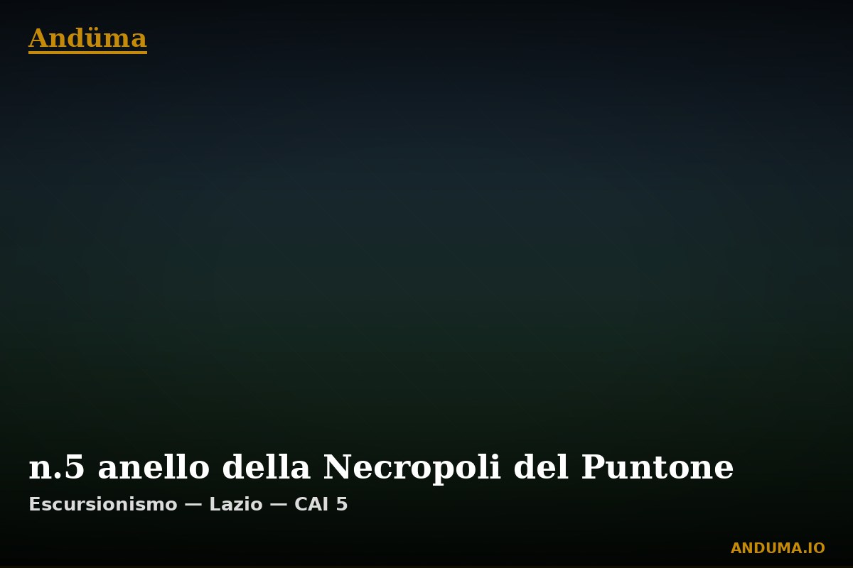n.5 anello della Necropoli del Puntone — Punto di interesse , Piedmont