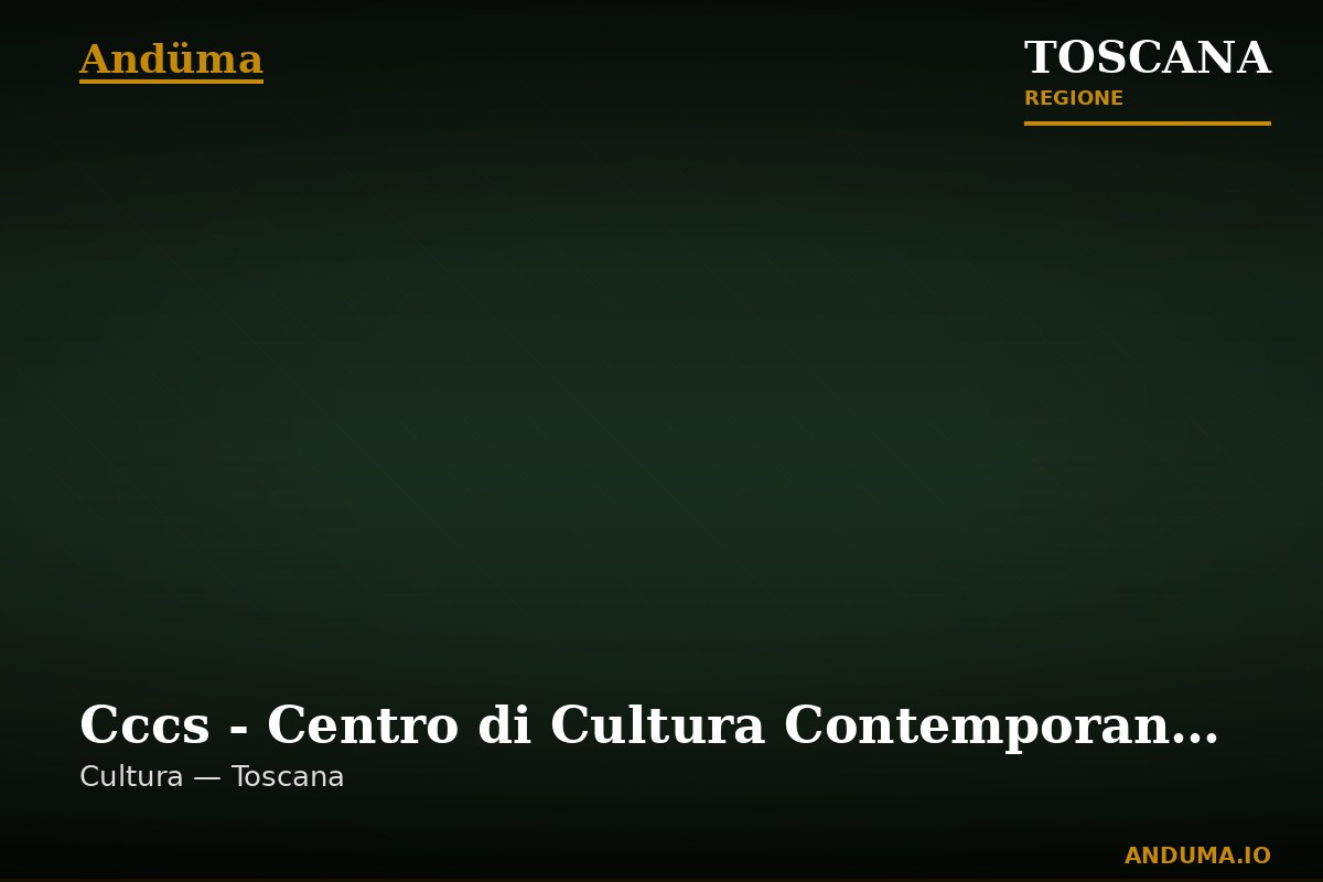 Cccs - Centro di Cultura Contemporanea Strozzina — Punto di interesse a Firenze, Firenze