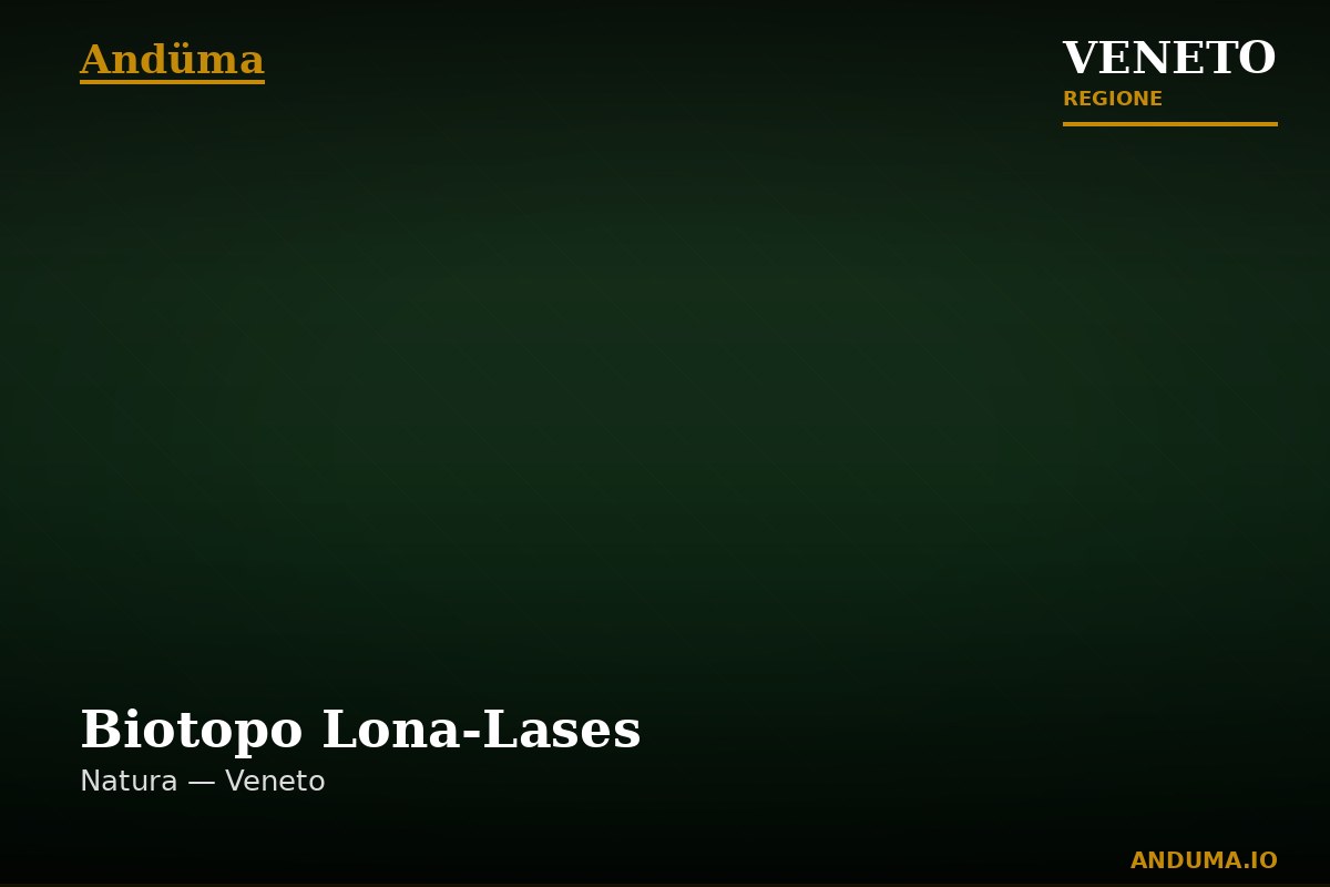 Biotopo Lona-Lases — Punto di interesse , Venezia