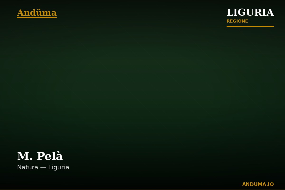 M. Pelà — Punto di interesse a Cinque Terre, La Spezia
