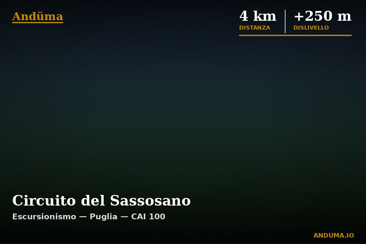 Circuito del Sassosano — Punto di interesse , Piedmont