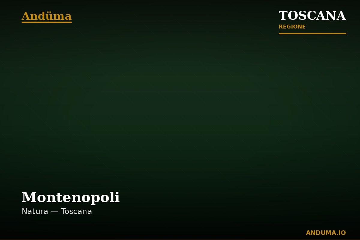 Montenopoli — Punto di interesse a Firenze, Firenze