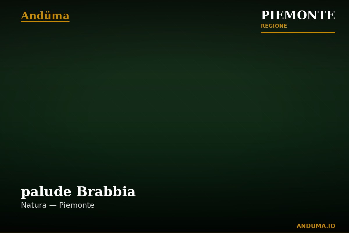 palude Brabbia — Punto di interesse , Torino