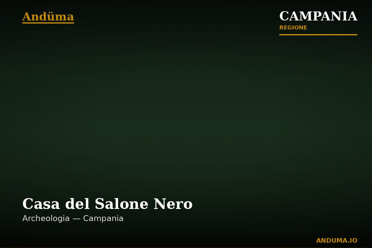 Casa del Salone Nero — Punto di interesse , Napoli