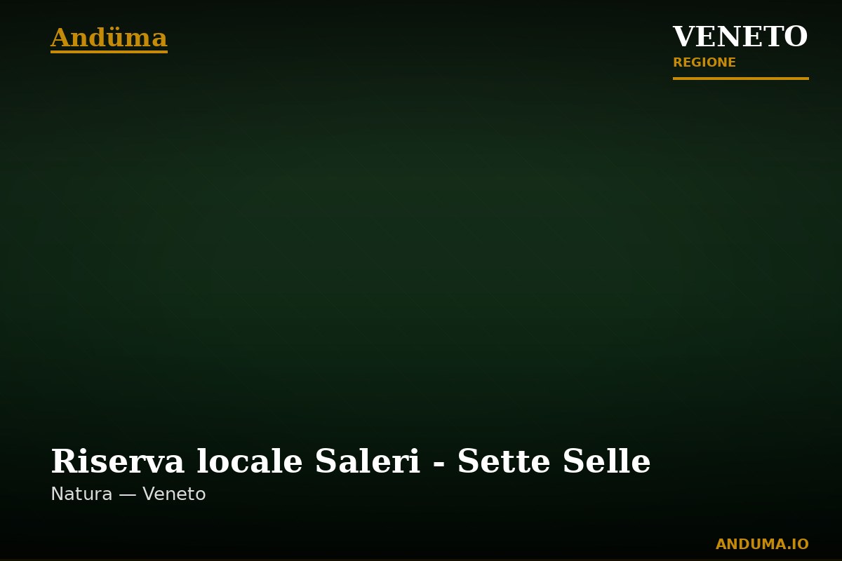 Riserva locale Saleri - Sette Selle — Punto di interesse , Venezia