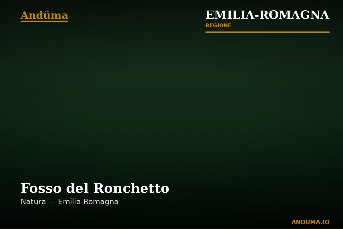 Fosso del Ronchetto — Punto di interesse , Bologna