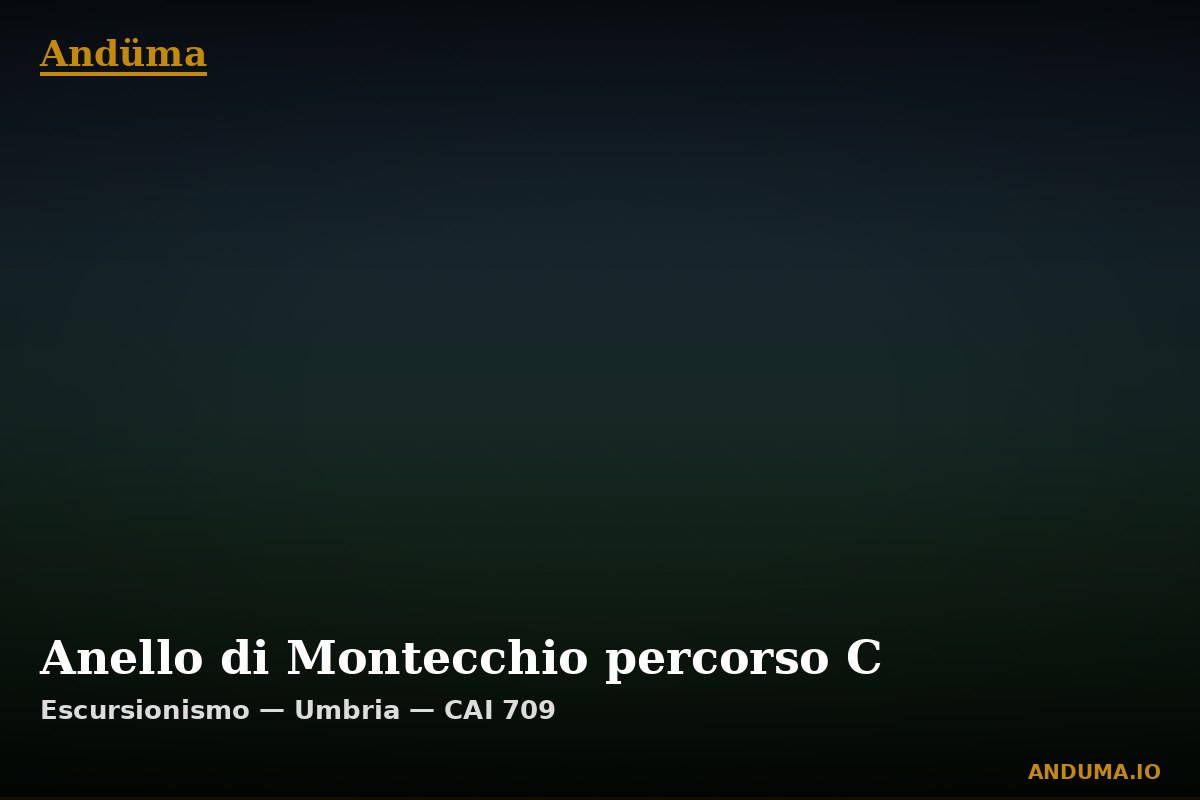 Anello di Montecchio percorso C — Punto di interesse , Piedmont