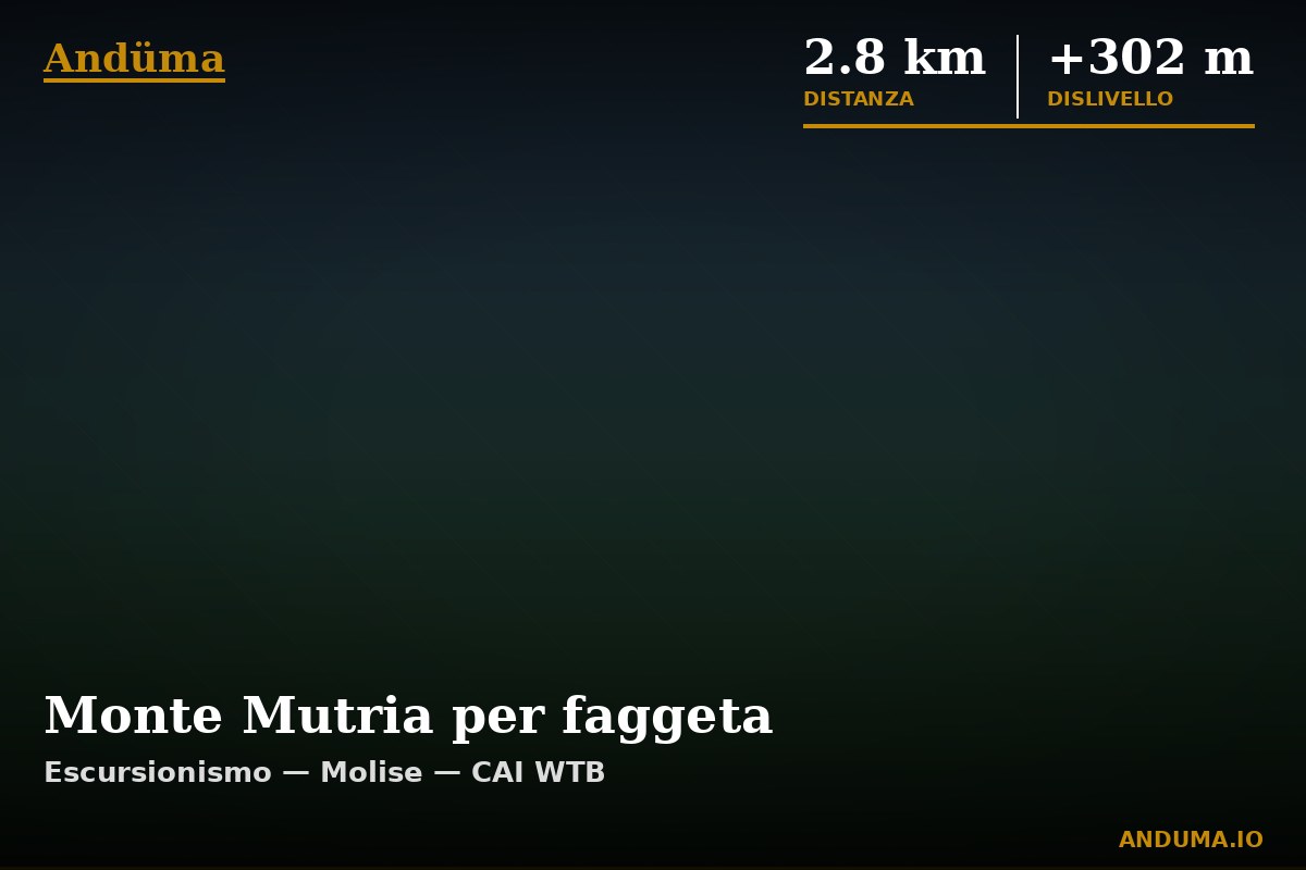 Monte Mutria per faggeta — Punto di interesse , Piedmont