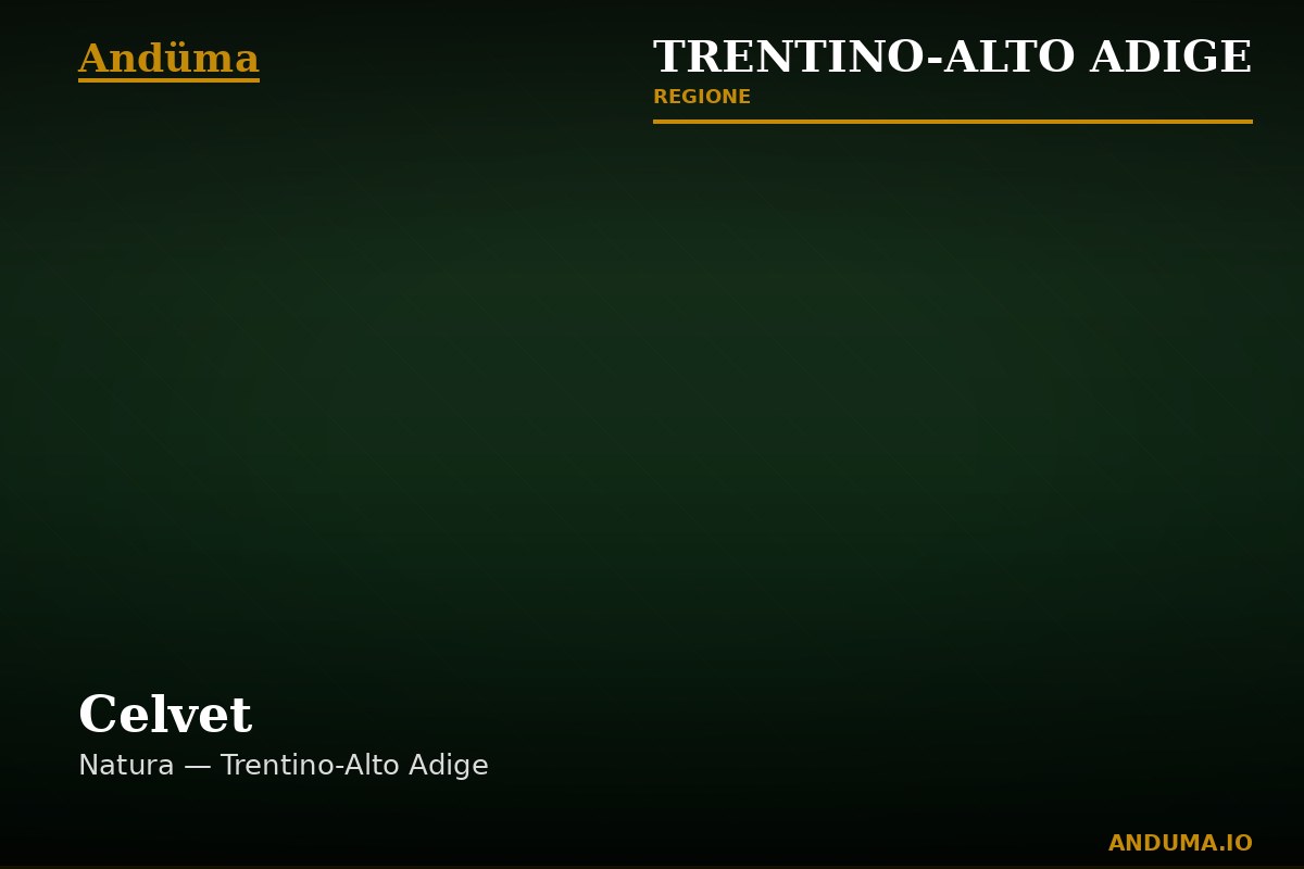 Celvet — Punto di interesse a Trento, Trento