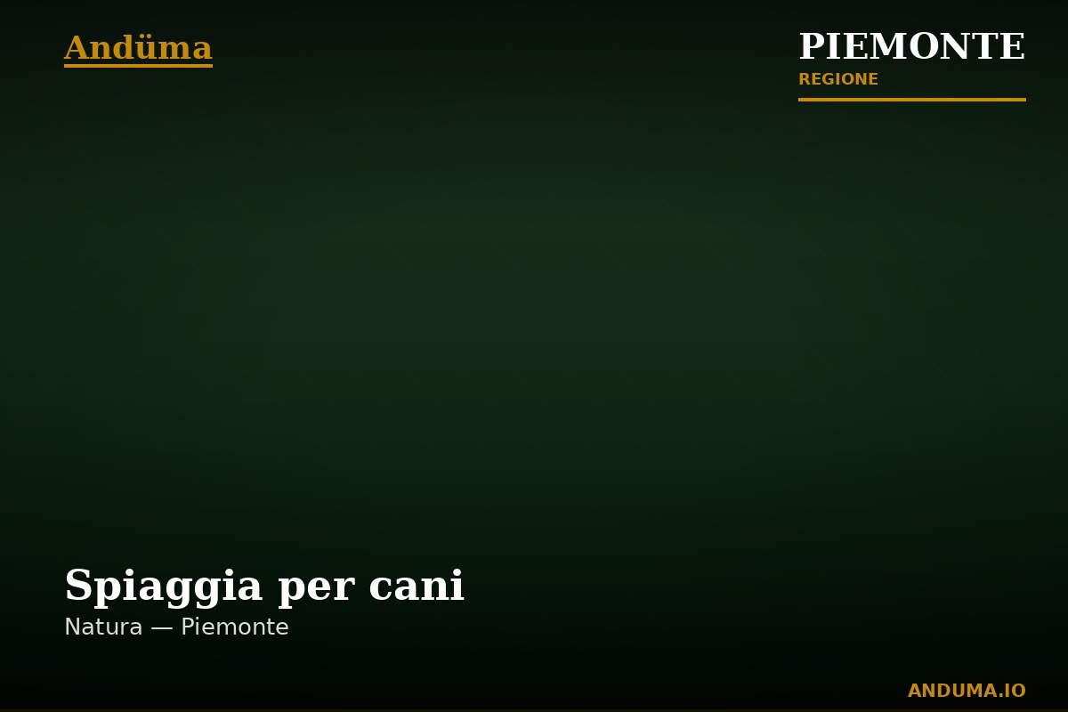 Spiaggia per cani