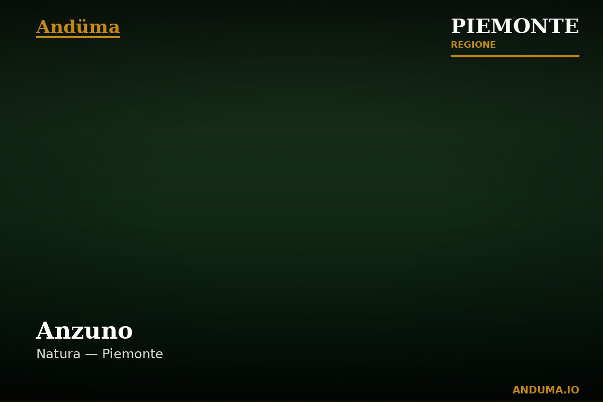 Anzuno — Punto di interesse a Domodossola, VCO