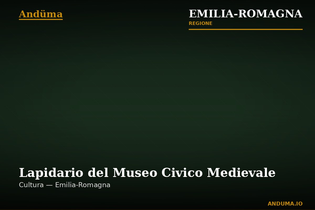 Lapidario del Museo Civico Medievale — Punto di interesse a Bologna, Bologna
