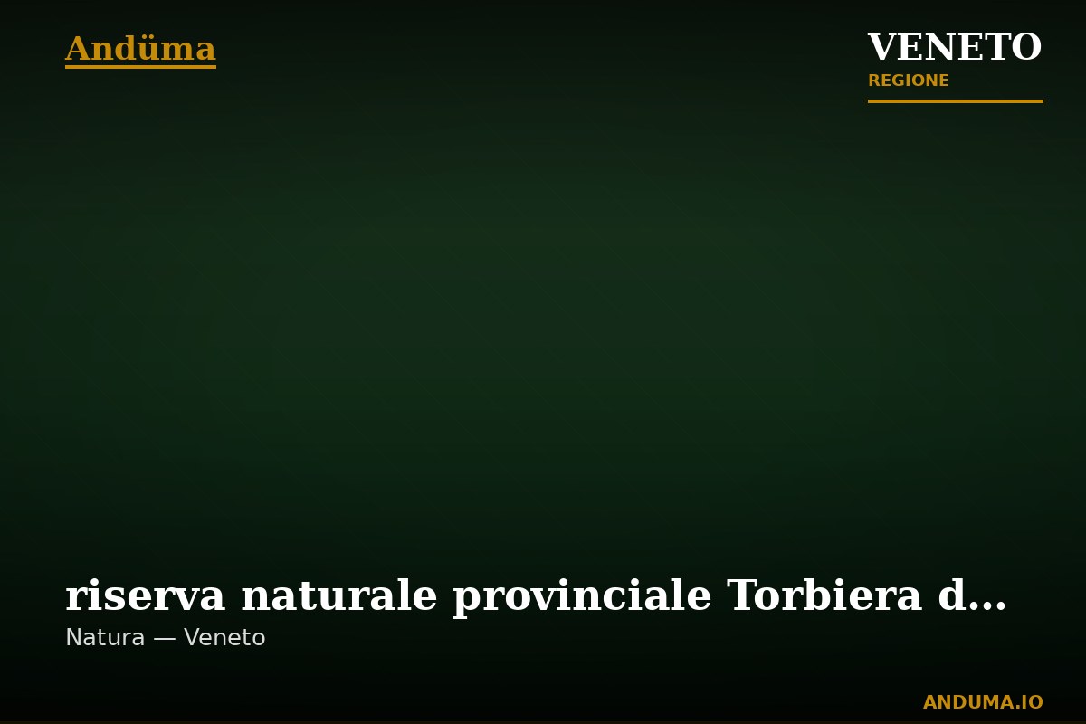 riserva naturale provinciale Torbiera delle Viote — Punto di interesse , Venezia