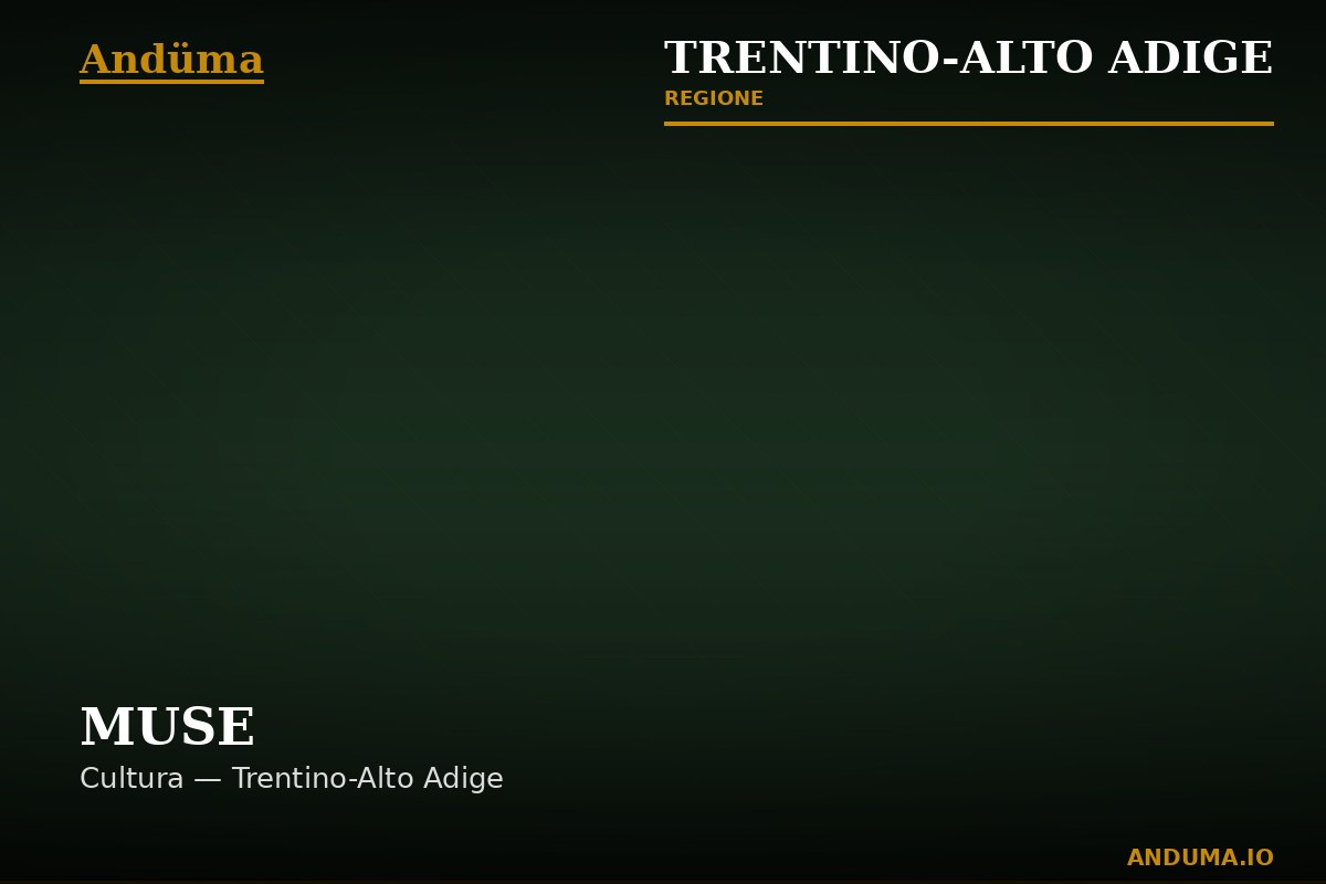 MUSE — Punto di interesse a Trento, Trento